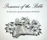 Topics, Promises & Prophecies of The Bible - Paperback